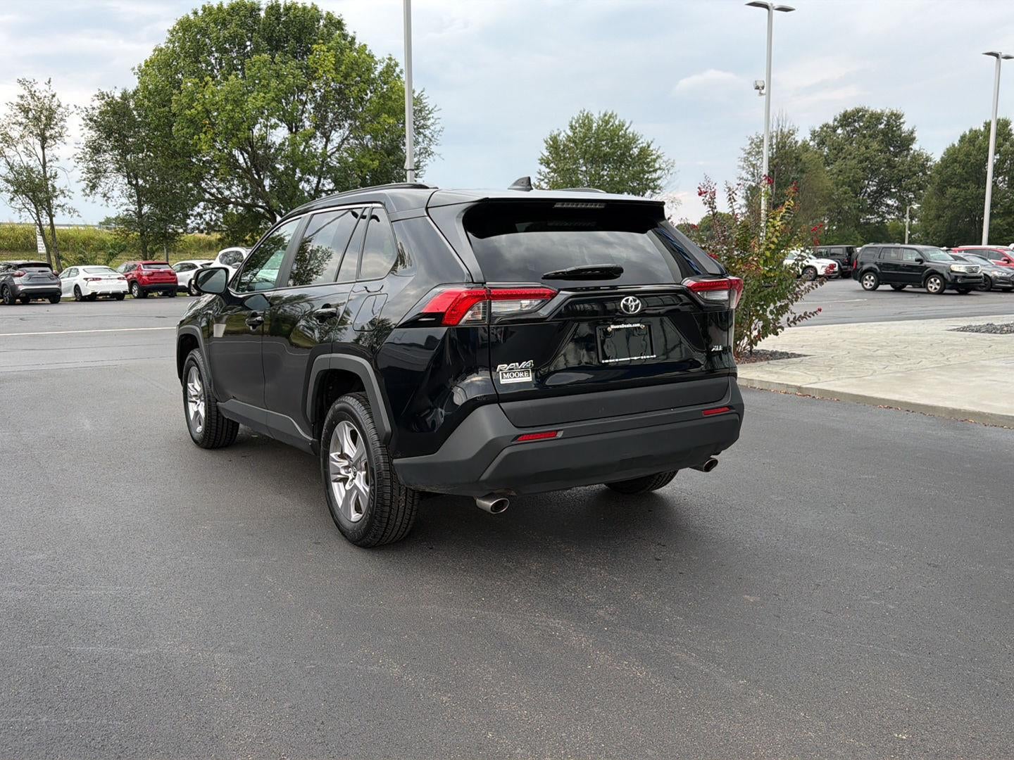 2025 Toyota Rav4 XLE