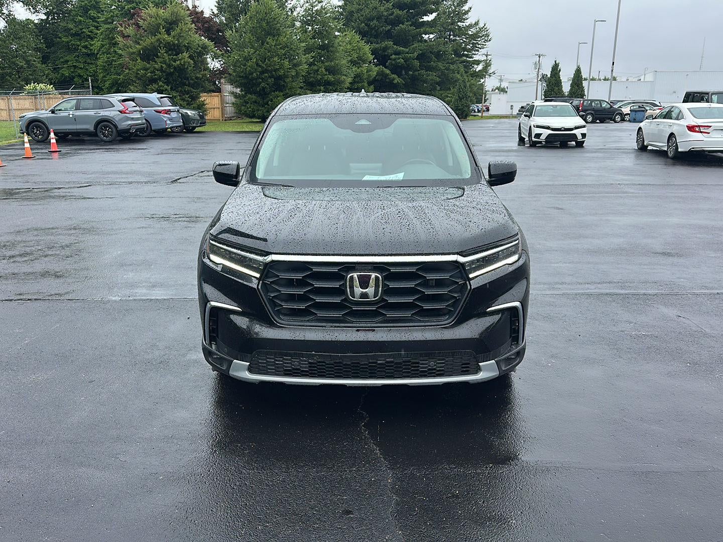 2024 Honda Pilot EX-L 8 Passenger